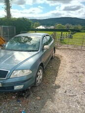 2007 - Skoda Octavia Manual