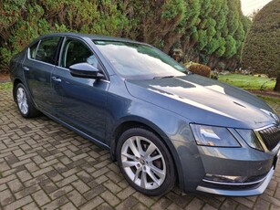 2019 - Skoda Octavia Manual