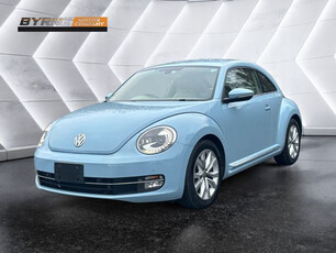 VOLKSWAGEN BEETLE