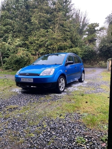 2004 - Ford Fiesta Manual