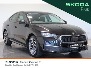 2024 - Skoda Octavia Manual