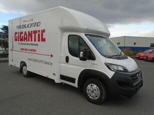 2023 (211) Fiat Ducato