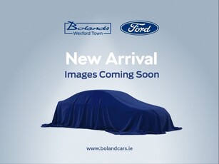 2019 (191) Ford Fiesta