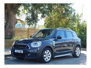 2020 (201) Mini Countryman