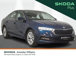 2023 (231) Skoda Octavia