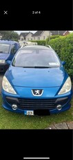 2007 - Peugeot 307 Manual