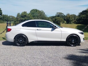 2014 - BMW 2-Series Manual