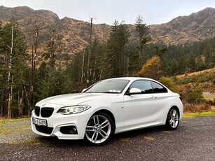 2016 - BMW 2-Series Manual