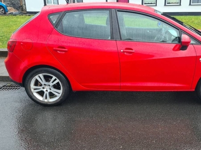 2010 - SEAT Ibiza Manual