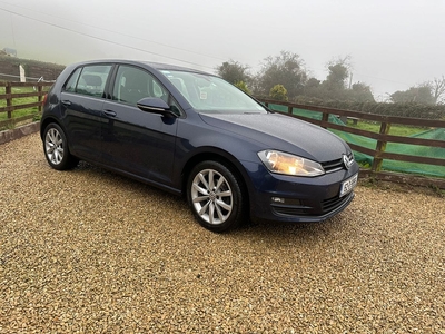 2015 - Volkswagen Golf Manual