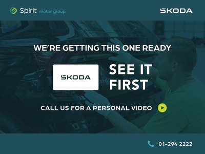 2019 - Skoda Kodiaq Manual