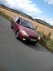 2003 - Ford Focus Manual