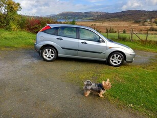 2004 - Ford Focus Manual