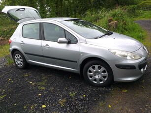 2006 - Peugeot 307 Manual