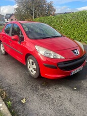 2009 - Peugeot 207 Manual