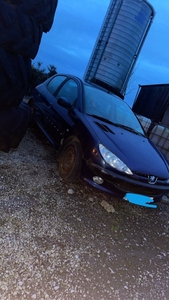 2005 - Peugeot 206 ---