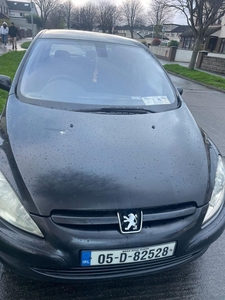 2005 - Peugeot 307 Manual