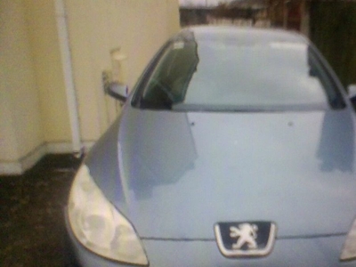 2006 - Peugeot 407 Manual