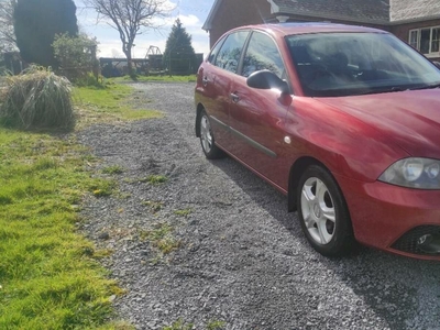 2008 - SEAT Ibiza Manual