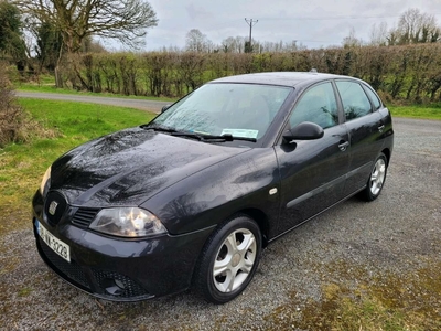 2008 - SEAT Ibiza Manual