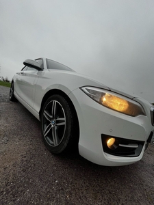 2014 - BMW 2-Series Manual