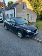 2010 - SEAT Ibiza Manual