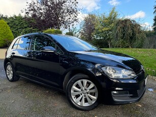 2016 - Volkswagen Golf Manual