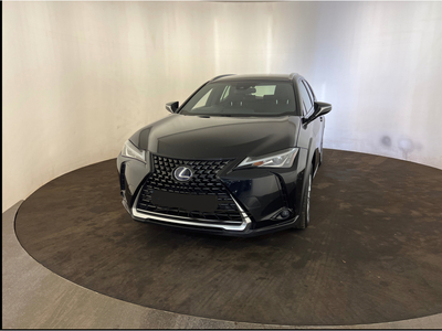 LEXUS UX 250 H