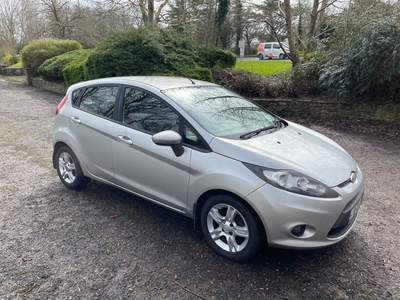 2010 - Ford Fiesta Manual