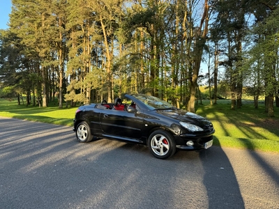 2004 - Peugeot 206 Manual