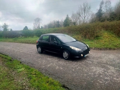 2006 - Peugeot 307 Manual