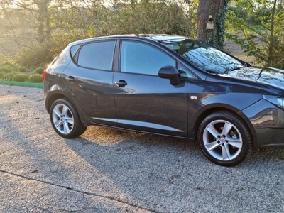 2009 - SEAT Ibiza Manual