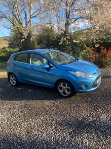 2010 - Ford Fiesta Manual