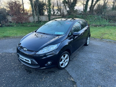 2010 - Ford Fiesta Manual