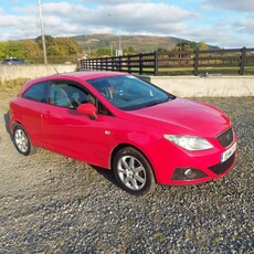 2009 - SEAT Ibiza Manual