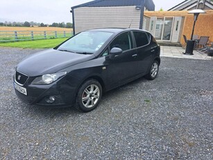 2010 - SEAT Ibiza Manual