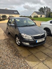 2010 - Skoda Fabia Manual