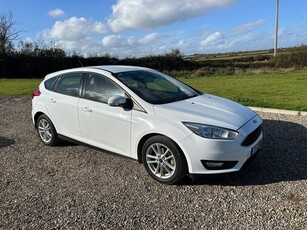 2017 - Ford Focus Manual