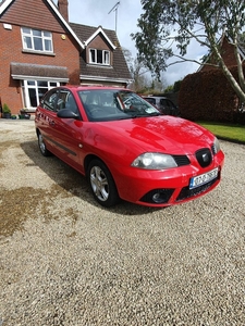 2007 - SEAT Ibiza Manual