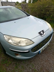 2008 - Peugeot 407 Manual