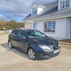 2010 - SEAT Ibiza ---