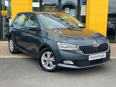 2020 - Skoda Fabia Manual