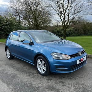 2014 - Volkswagen Golf Manual