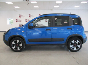 2024 (241) Fiat Panda