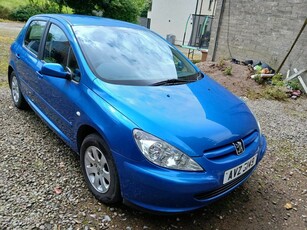 2003 - Peugeot 307 Manual