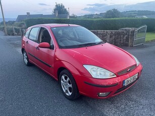 2004 - Ford Focus Manual