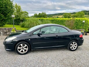 2007 - Peugeot 307 Manual