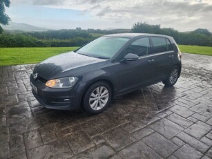 2013 - Volkswagen Golf Manual