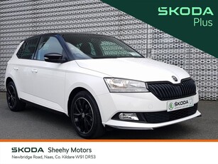 2019 - Skoda Fabia Manual