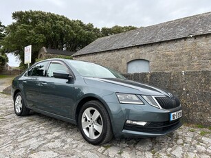 2019 - Skoda Octavia Manual